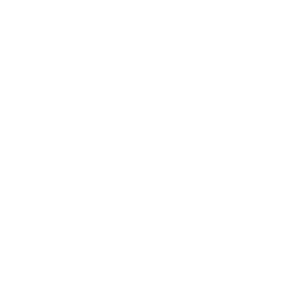 American Airlines Logo