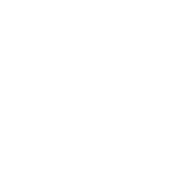 Campo Viejo Logo