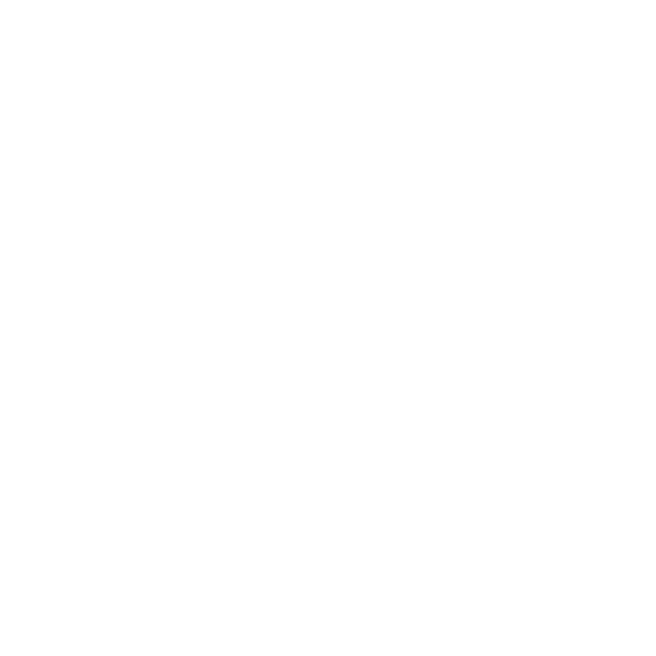 MAIA Logo